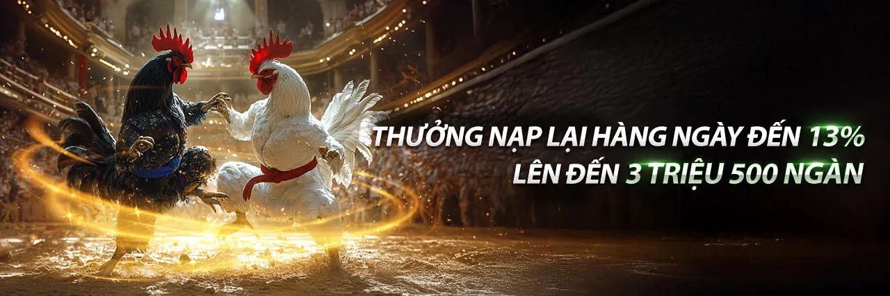Đá gà kịch tính tại Tobet88