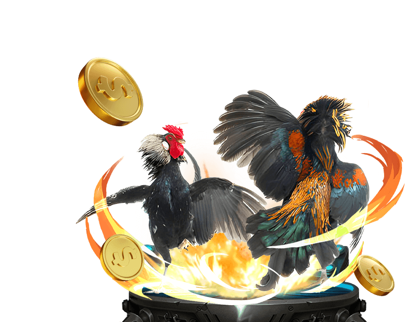 Đá Gà trực tuyến Tobet88